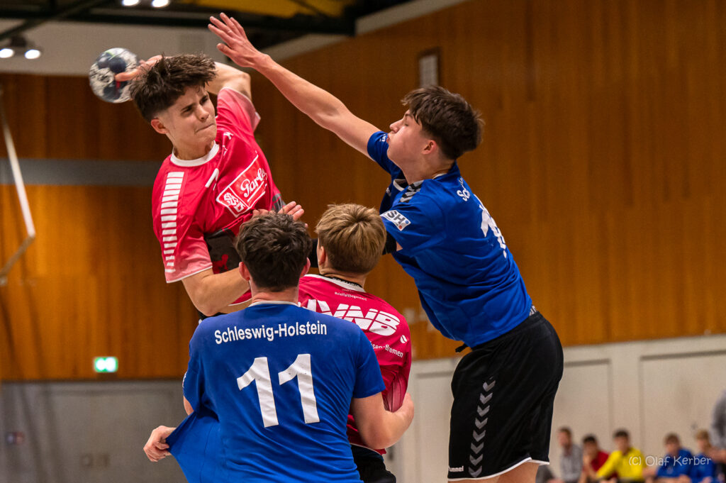 HVNB-Handball-Landesauswahl-M07-Sprungwurf