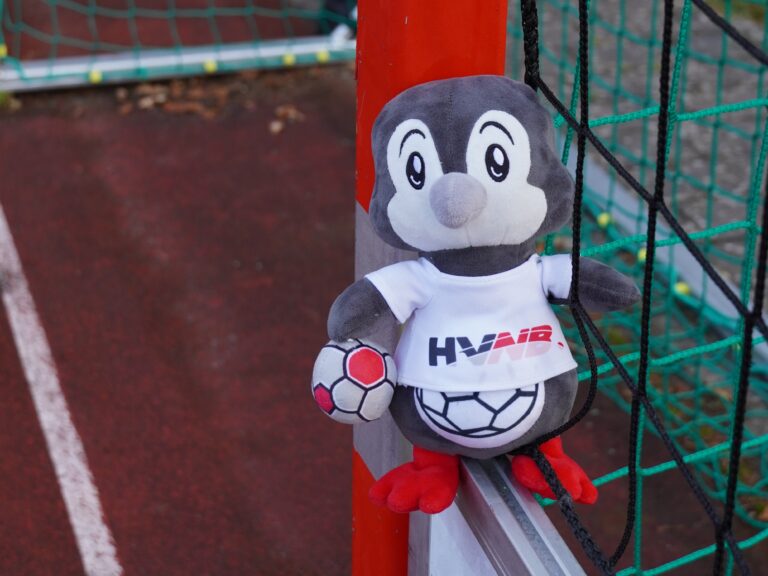 Noch auf der Suche nach einem passenden Weihnachtsgeschenk?