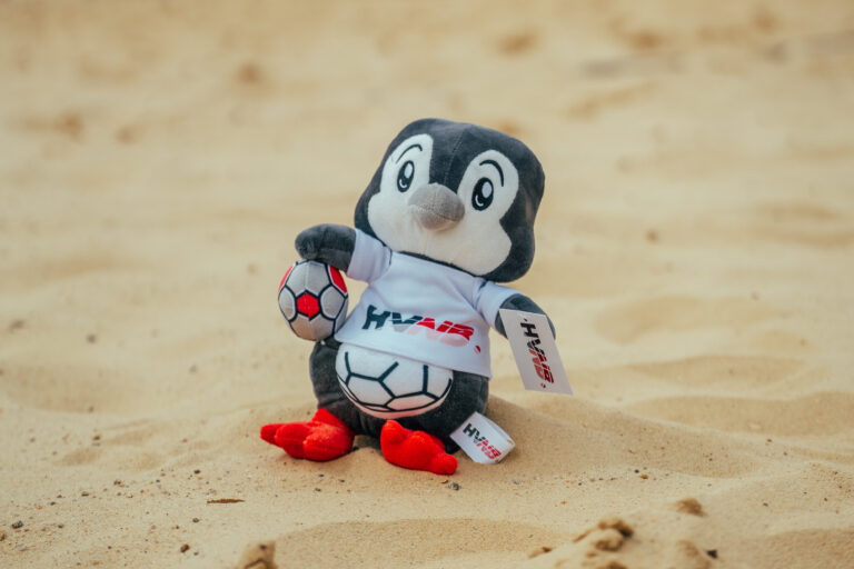 Kleine Hände, großer Wurf – Handballabenteuer mit Ballduin