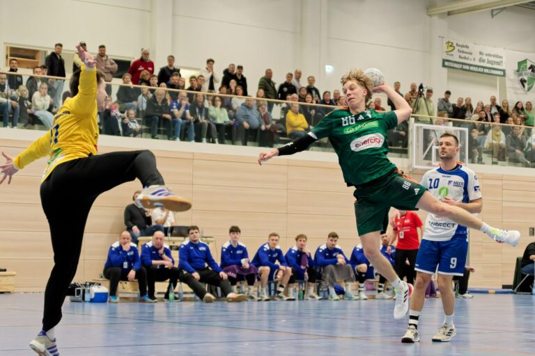 Regionalliga: Zwischen Aufstiegstraum und Abstiegskampf